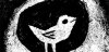 Image / illustration